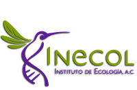 Logo of Instituto de Ecología, A.C. (INECOL), Xalapa